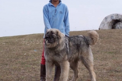 004_Sura_de_pe_Somes