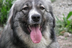 0095_Marutza